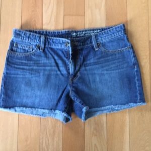 Gap cutoff jean shorts